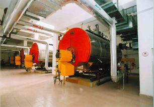 4t6t燃?xì)鉄崴仩t 小型集中供暖鍋爐,4t6t燃?xì)鉄崴仩t 小型集中供暖鍋爐生產(chǎn)廠家,4t6t燃?xì)鉄崴仩t 小型集中供暖鍋爐價格